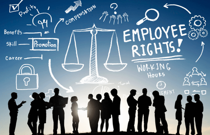 Employment & Labor Law